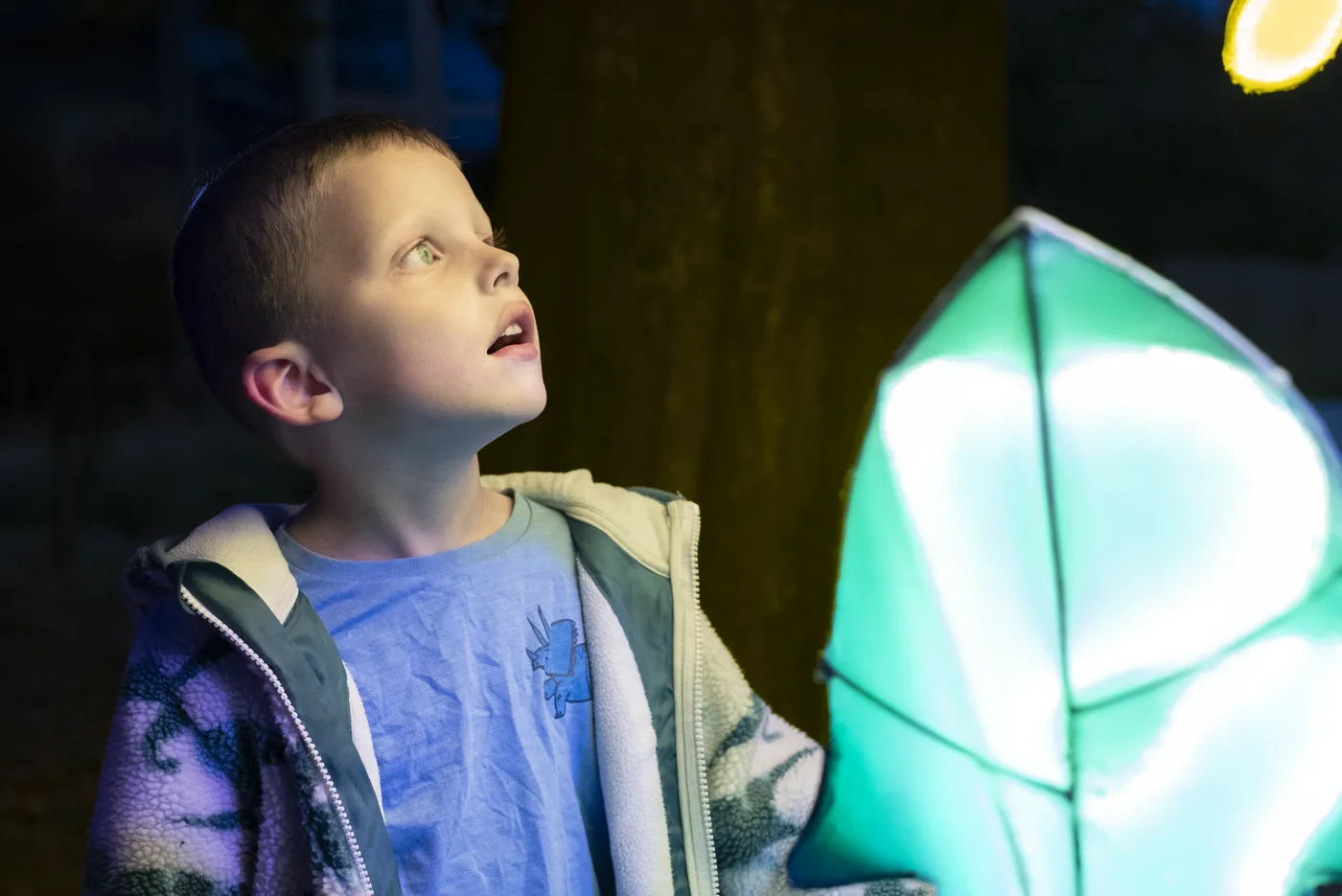 A child looks up at a glowing green leaf lantern on the Stockwood Illuminated trail